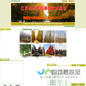 银杏树,银杏树价格,银杏树苗价格,银杏价格,邳州市秀景银杏苗木基地http://www.yinxing8.com