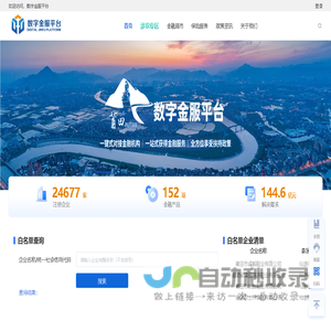 数字金服平台